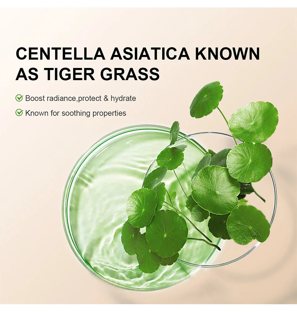 Centella Asiatica CC Cream – Color Correcting & Skin Repairing Liquid Foundation (45ml)