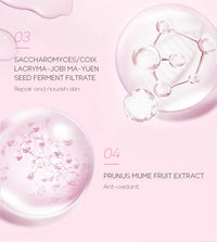 REAROYA Vitamin C Facial Cleanser – Deep Cleansing, Brightening & Moisturizing Face Wash (50g)