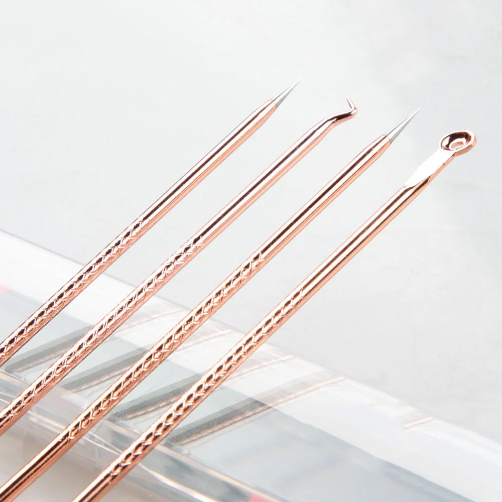 4-Piece Acne & Blackhead Remover Needle Set – Metal Pore Cleaning Tool Kit