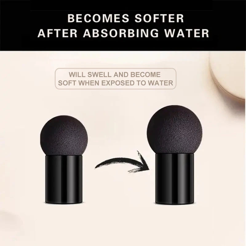 O'CHEAL Mushroom Head BB Cream Cushion – Waterproof, SPF & Long-Lasting Coverage (20g)