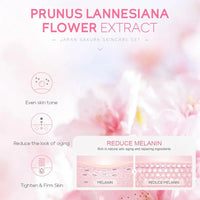 Sakura Skin Care Set – 3 or 5-Piece Gift Box