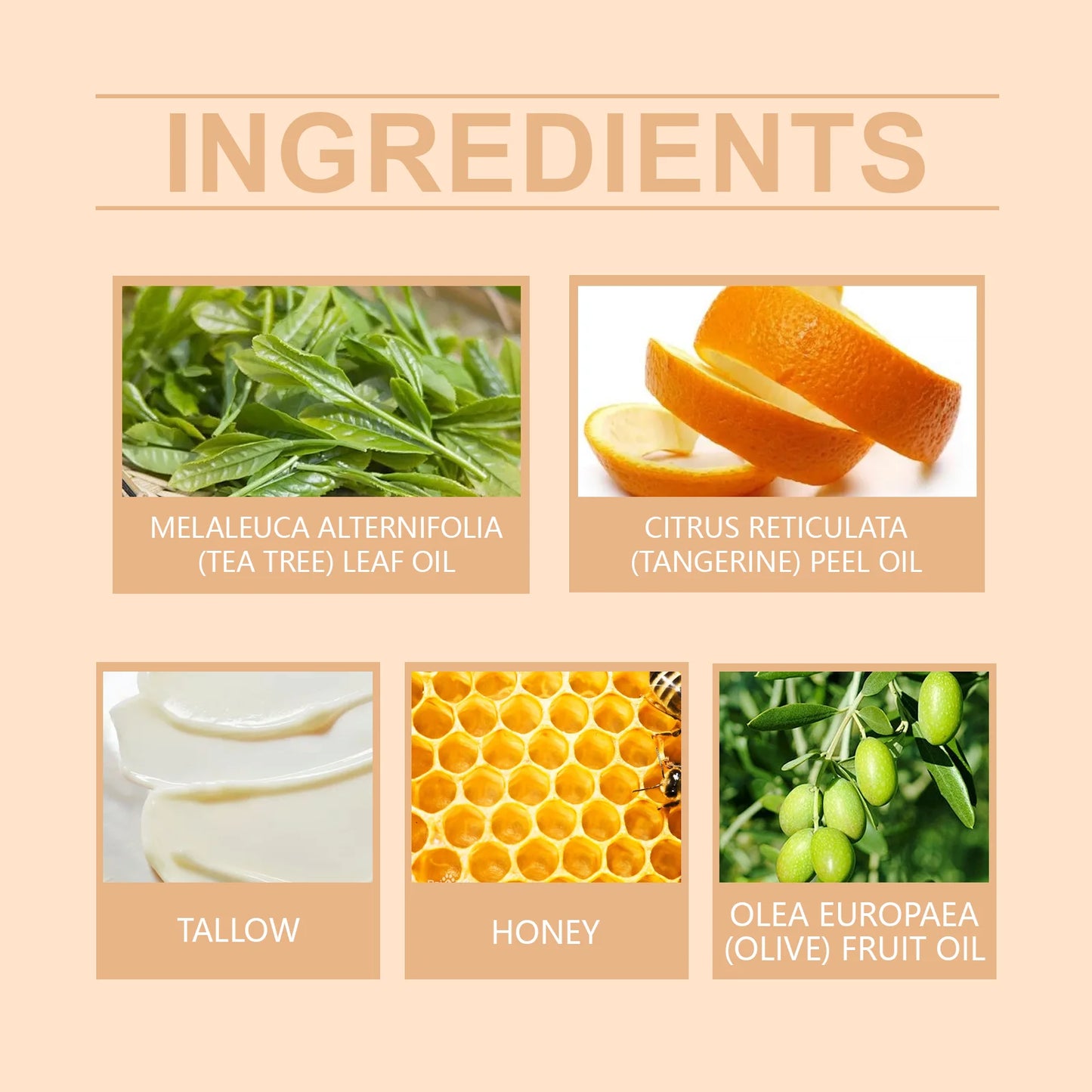 Beef Tallow & Honey Brightening Body Cream – Dark Spot Fader, Firming & Deep Moisturizer (60g)